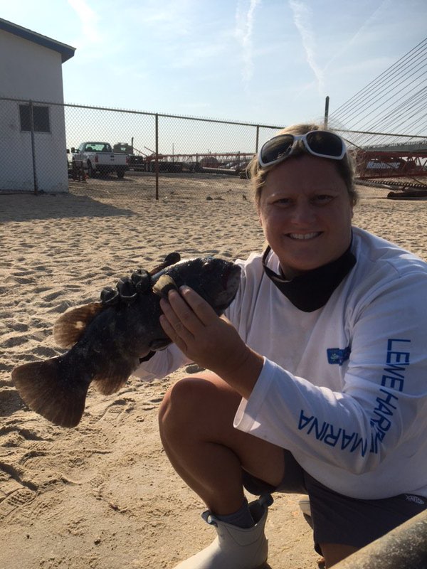 Indian river inlet, tautog recipe, delaware surf fishing, community cookbook, fish recipes,