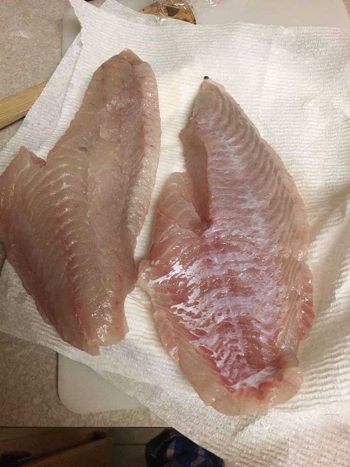 Indian river inlet, tautog recipe, delaware surf fishing, community cookbook, fish recipes,