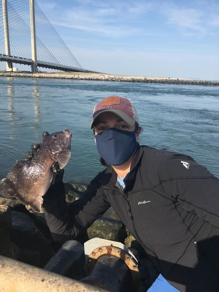 Indian river inlet, tautog recipe, delaware surf fishing, community cookbook, fish recipes,