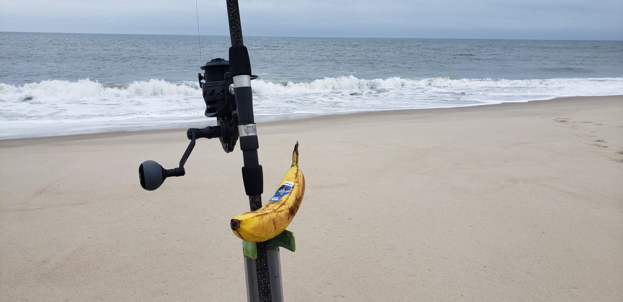 fishing with bananas, delaware surf fishing, delaware state parks, bananas are bad luck for fishing