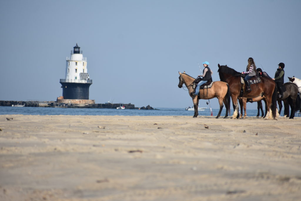 delaware state parks, horseback riding, cape henlopen state park, riding horses on the beach, delaware surf fishing, Harbor of refuge lighthouse
