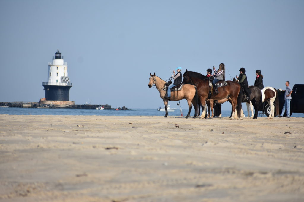 delaware state parks, horseback riding, cape henlopen state park, riding horses on the beach, delaware surf fishing, Harbor of refuge lighthouse