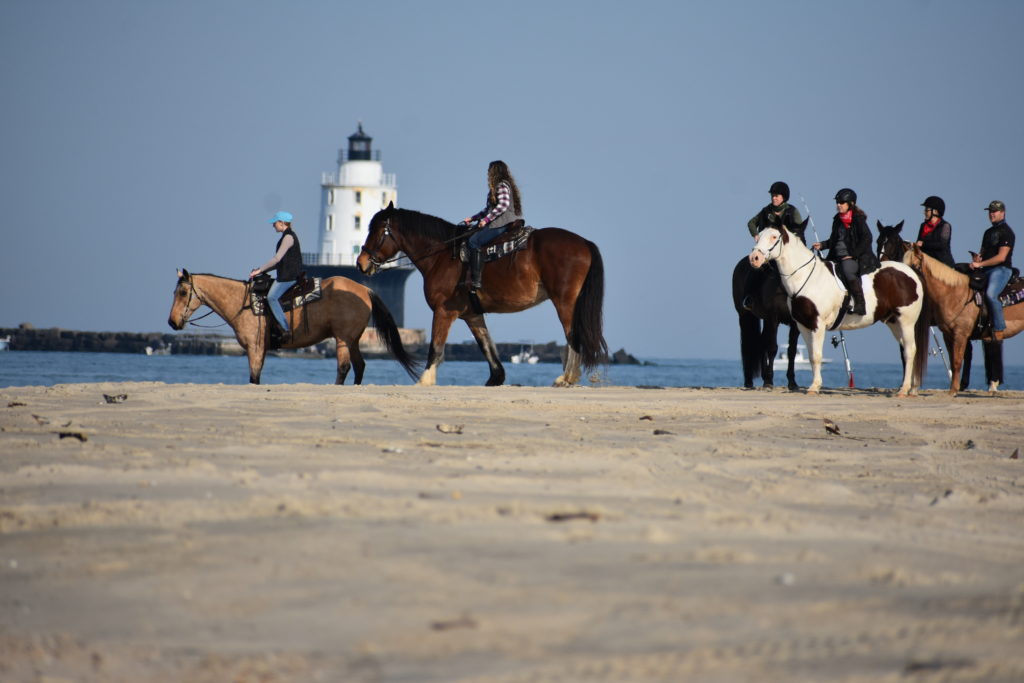 delaware state parks, horseback riding, cape henlopen state park, riding horses on the beach, delaware surf fishing, Harbor of refuge lighthouse