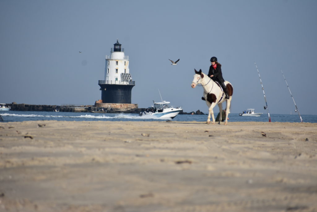 delaware state parks, horseback riding, cape henlopen state park, riding horses on the beach, delaware surf fishing, Harbor of refuge lighthouse