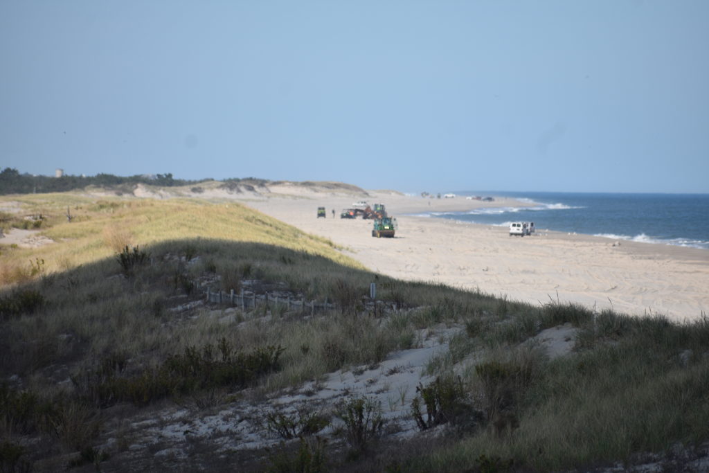 oil spill, delaware beaches, dnrec, assateague, delaware state parks, rehoboth beach, bethany beach, fenwick island