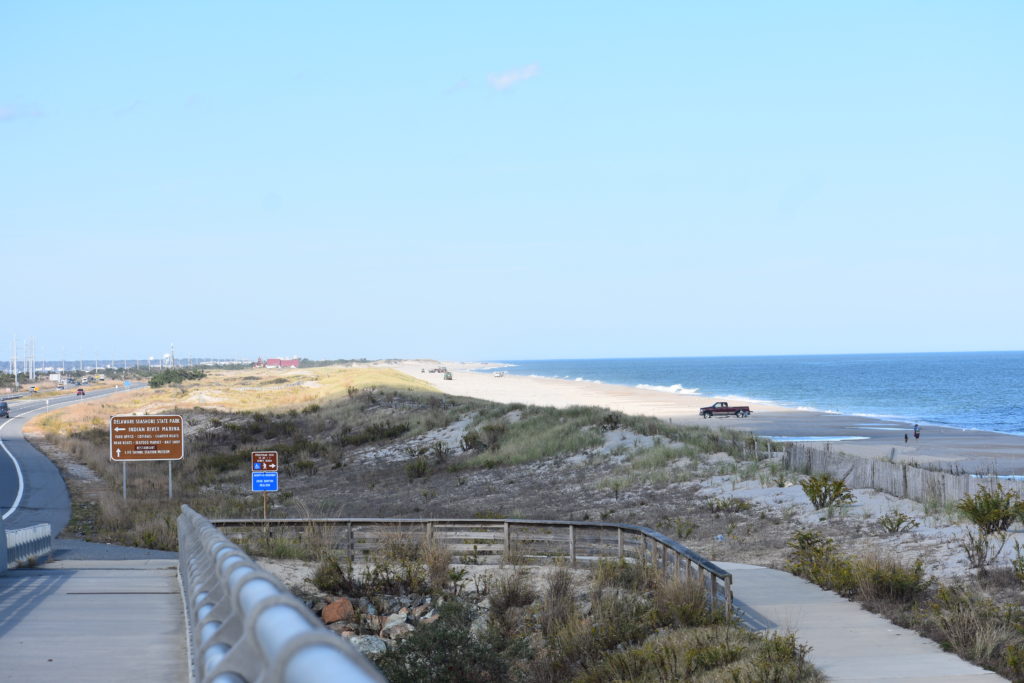 oil spill, delaware beaches, dnrec, assateague, delaware state parks, rehoboth beach, bethany beach, fenwick island