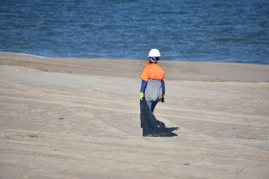 oil spill, delaware beaches, dnrec, assateague, delaware state parks, rehoboth beach, bethany beach, fenwick island