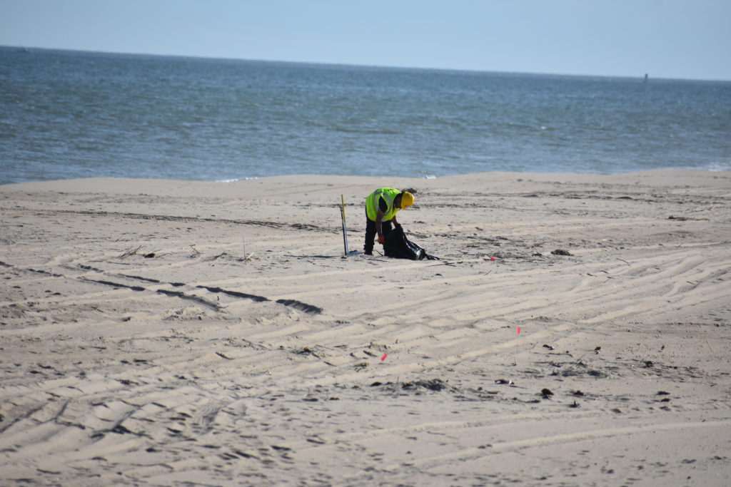 oil spill, delaware beaches, dnrec, assateague, delaware state parks, rehoboth beach, bethany beach, fenwick island
