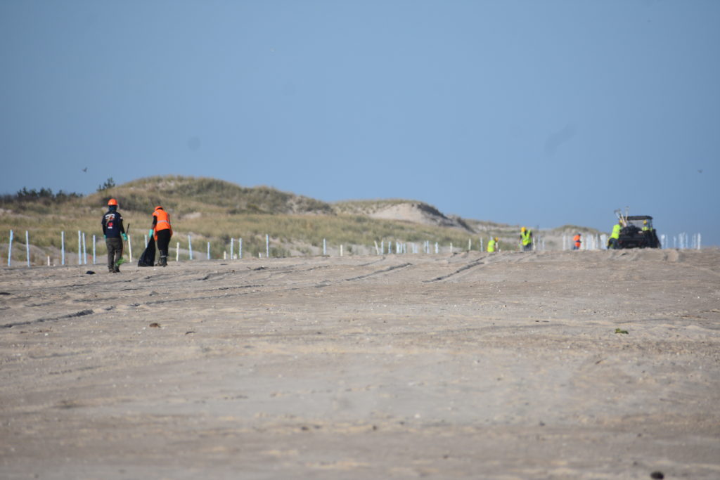 oil spill, delaware beaches, dnrec, assateague, delaware state parks, rehoboth beach, bethany beach, fenwick island