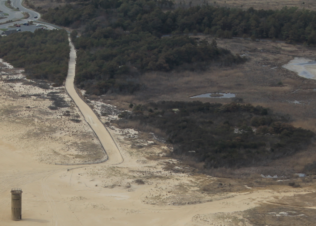 Delaware beaches, dune systems, walking dune, sussex county, delaware state parks, ghost crab, gackle, red fox, osprey
