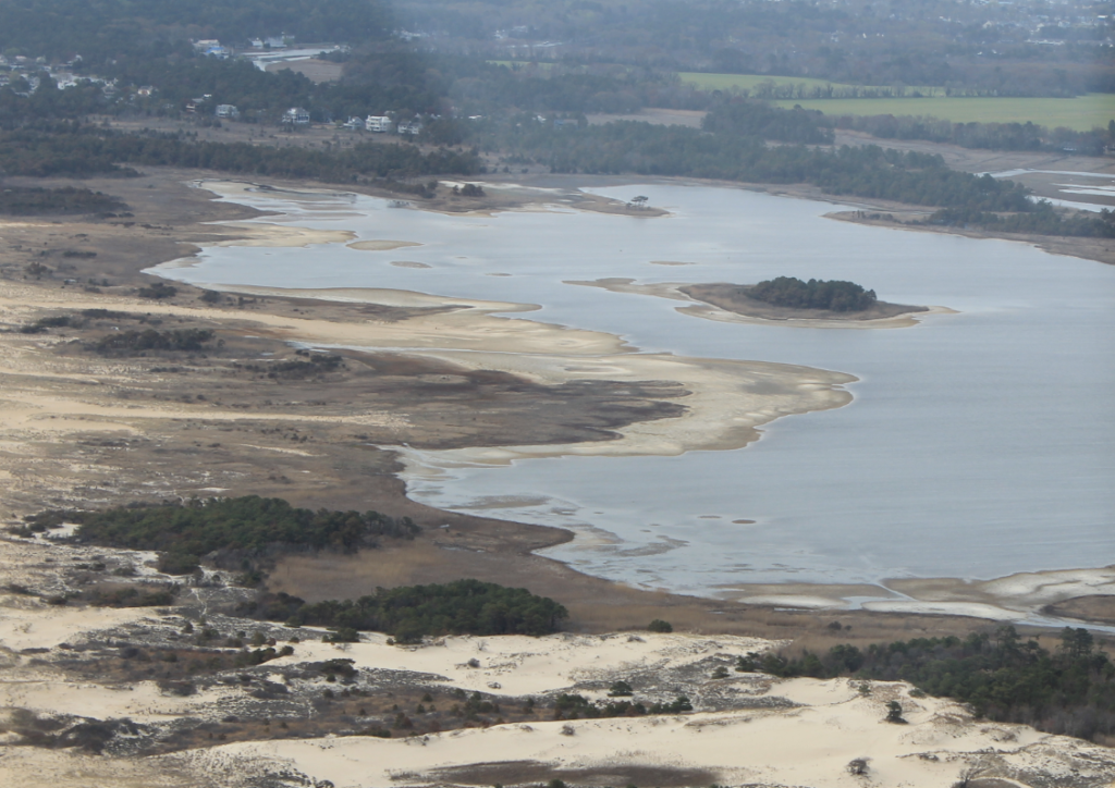 Delaware beaches, dune systems, walking dune, sussex county, delaware state parks, ghost crab, gackle, red fox, osprey
