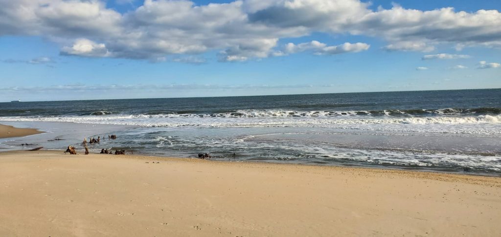 cape henlopen state park, great dune, navy crossing, drive on beach erosion, stumps on beach