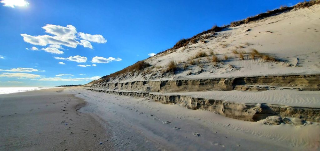 cape henlopen state park, great dune, navy crossing, drive on beach erosion, stumps on beach