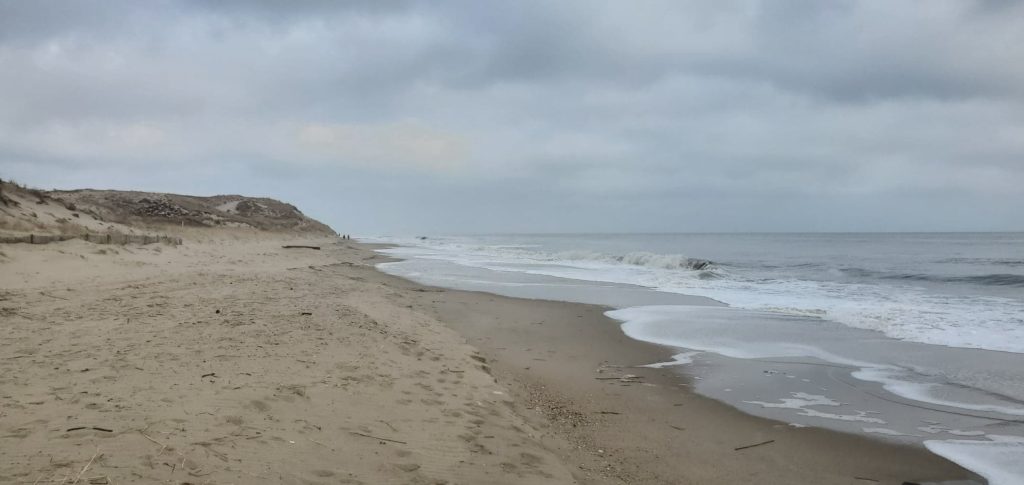 navy crossing, cape henlopen sate park, delaware surf fishing, sussex county, osv beaches