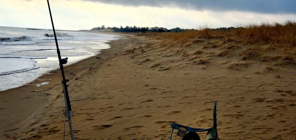 navy crossing, cape henlopen sate park, delaware surf fishing, sussex county, osv beaches
