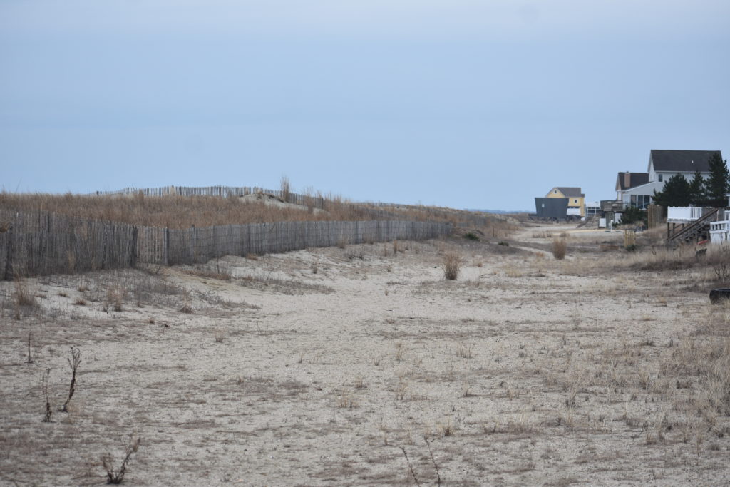 nor'easter damage, beach erosion, broadkill beach, delaware bay beach, delaware surf fishing