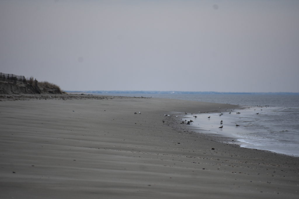 nor'easter damage, beach erosion, broadkill beach, delaware bay beach, delaware surf fishing