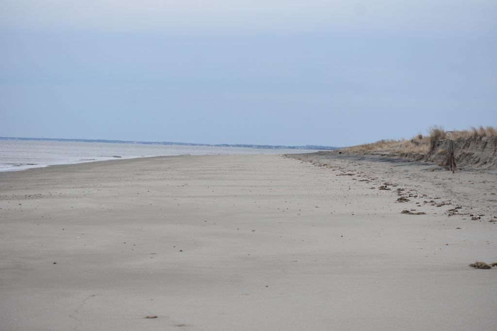 nor'easter damage, beach erosion, broadkill beach, delaware bay beach, delaware surf fishing