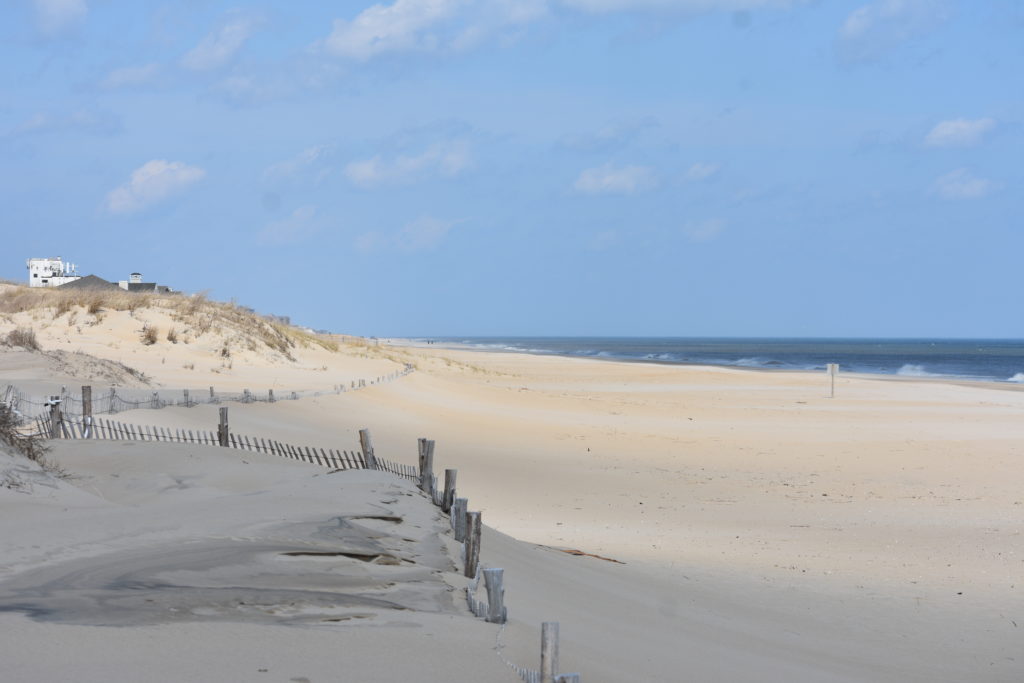 fenwick island state park, delaware surf fishing
