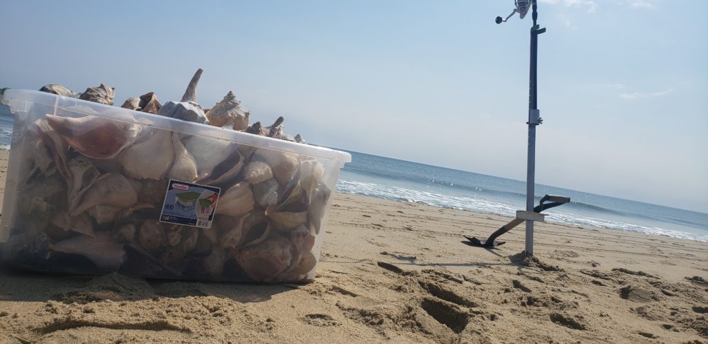 w impact beach combing