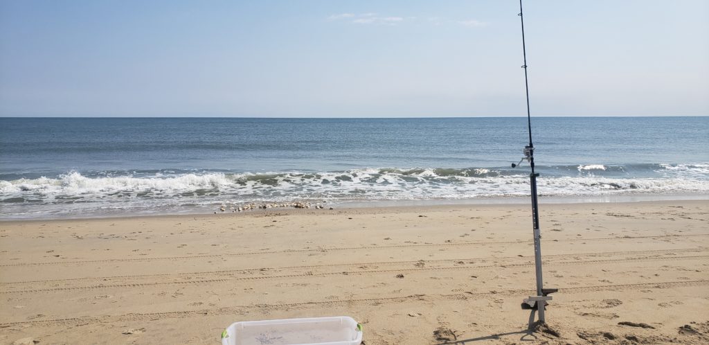 w impact beach combing