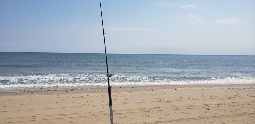 w impact beach combing
