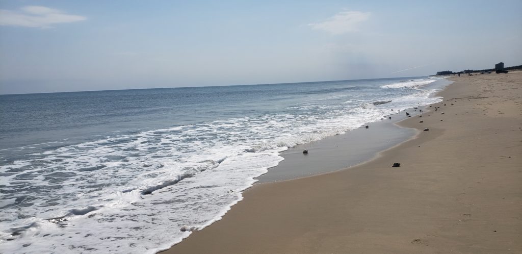w impact beach combing