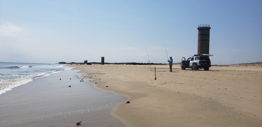 w impact beach combing