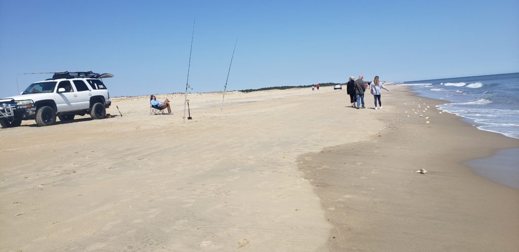 w impact beach combing