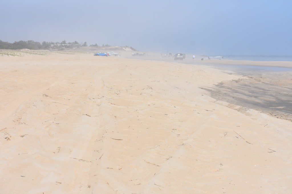 foggy beach, delaware surf fishing, sunburn, uv rays in fog