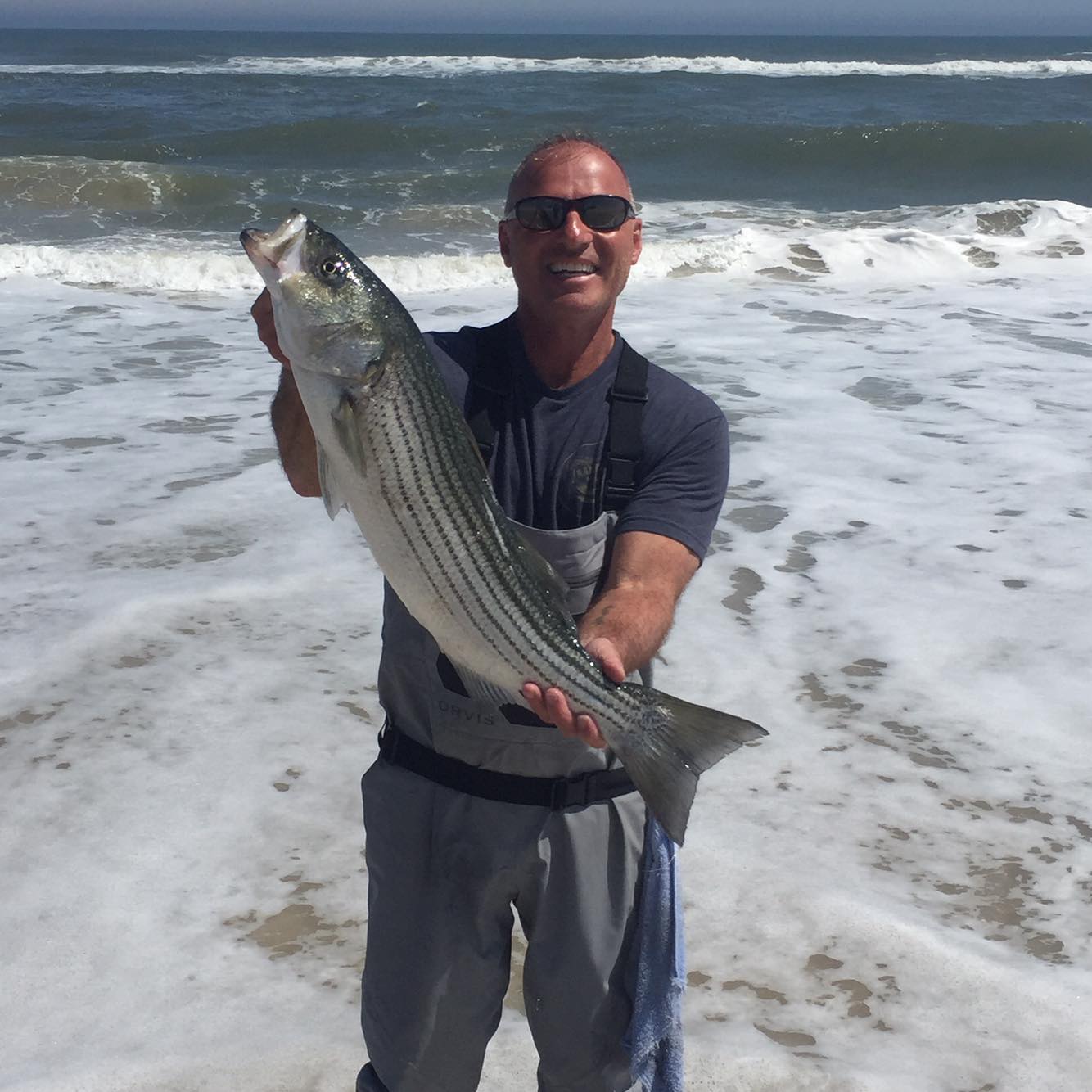 Dave Furio got this striped bass at Assaeague a few days ago.