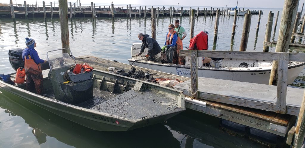 ghost crab pots, delaware sea grant, inland bays, Fish Finders for Stewardship Workshop, sea alice, rehoboth bay oyster company