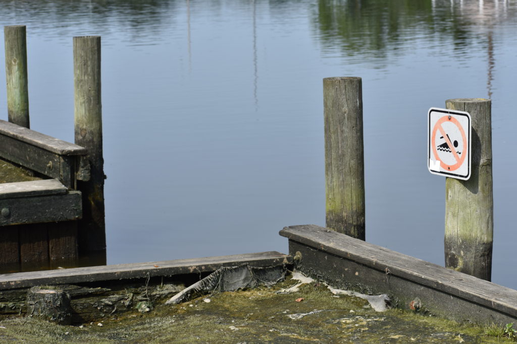 cupola park, boat ramp, millsboro, indian river headwaters, dead fish, dead crabs, fish carcasse dumping is illegal in delaware