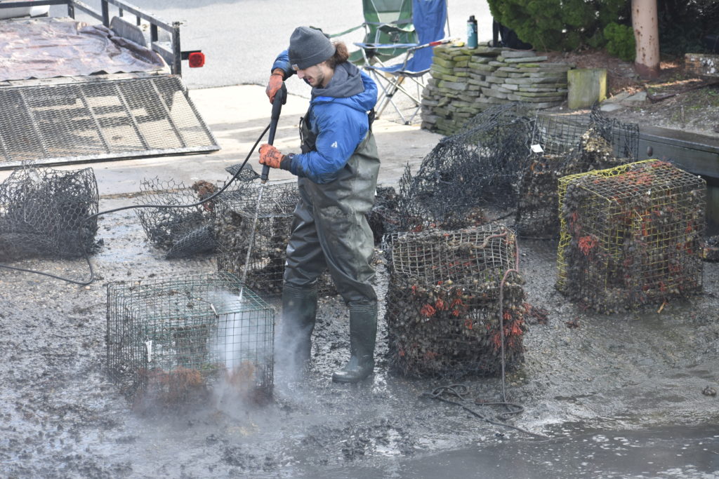 ghost crab pots, delaware sea grant, inland bays, Fish Finders for Stewardship Workshop, sea alice, rehoboth bay oyster company