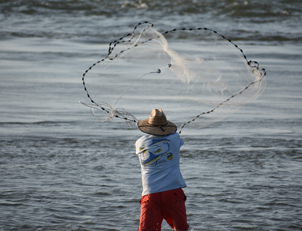 cast net, the point, bunker, menhaden, delaware surf fishing