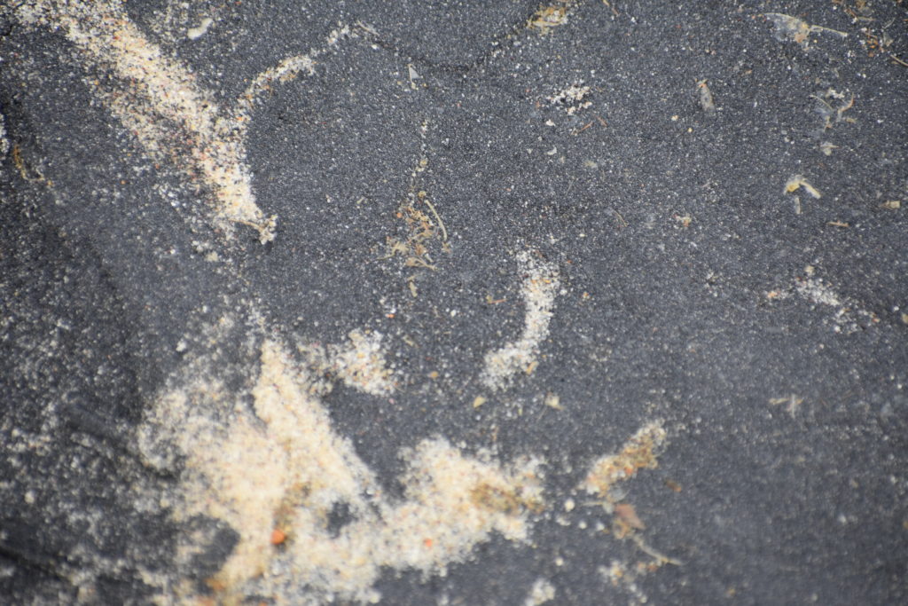 magnetite, garnet, black sand, delaware beaches, delaware surf fishing, delaware state parks,