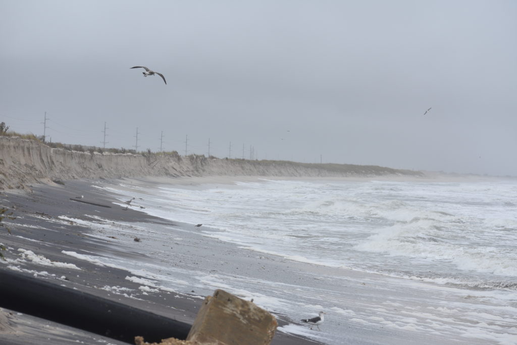 magnetite, garnet, black sand, delaware beaches, delaware surf fishing, delaware state parks,