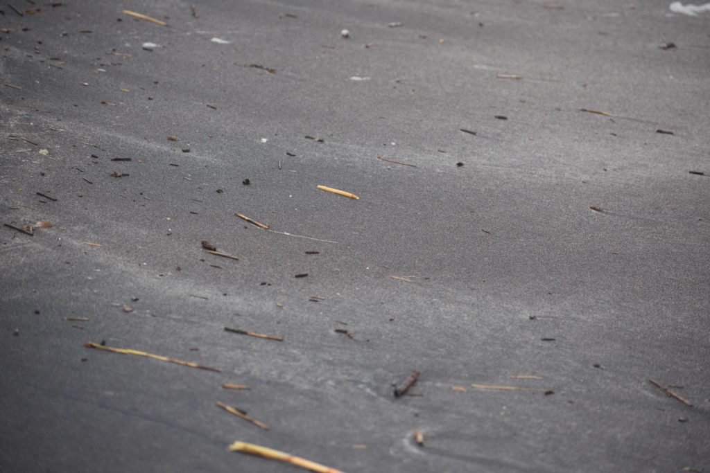 magnetite, garnet, black sand, delaware beaches, delaware surf fishing, delaware state parks,