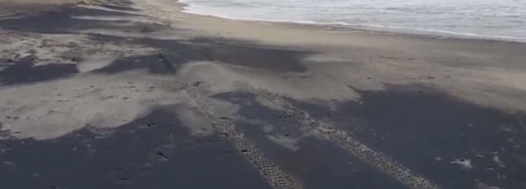 black sand, delaware beaches, delaware surf fishing, indian river inlet, northside beach, delaware state parks, dark colored sand